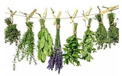 Plantes des parasites