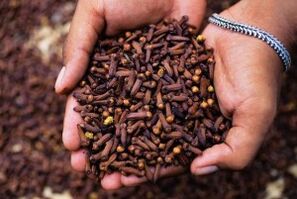 Comment se débarrasser de l'invasion helminthique