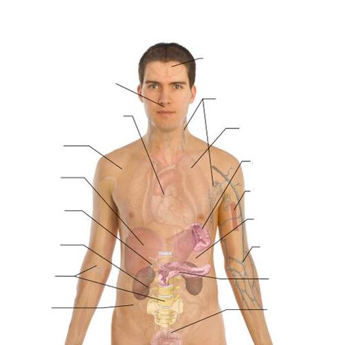 signes de la présence de parasites dans divers organes